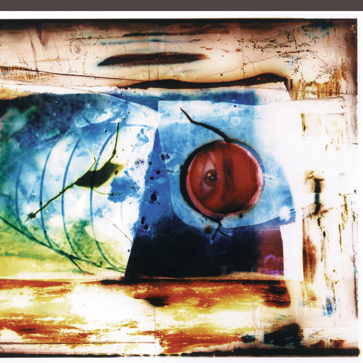 Fine Art Of Original Sin