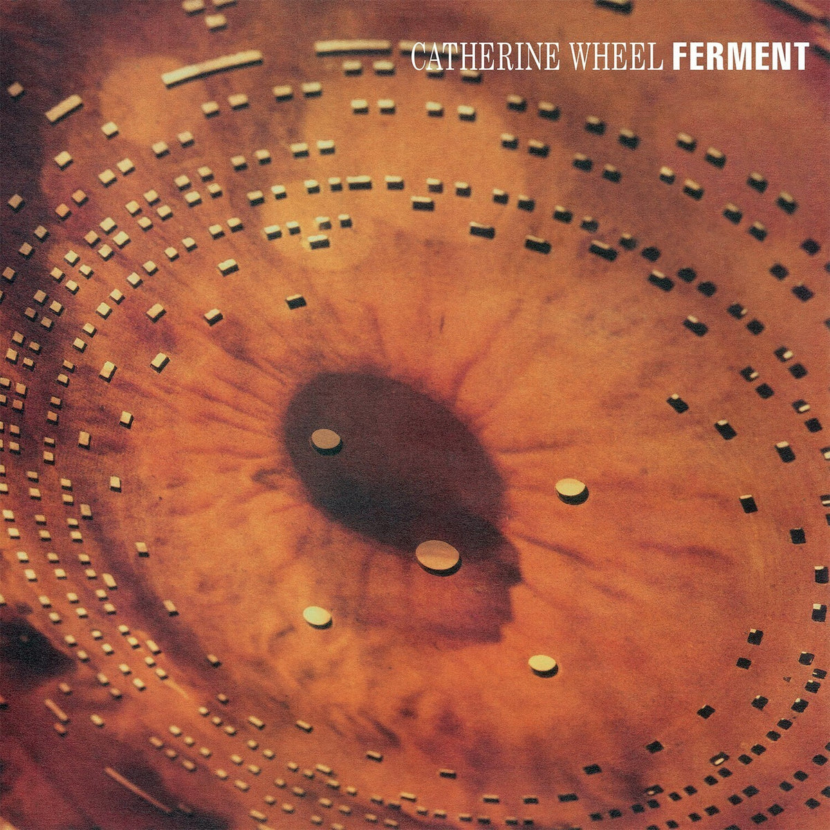 Ferment (LP/12Inch)