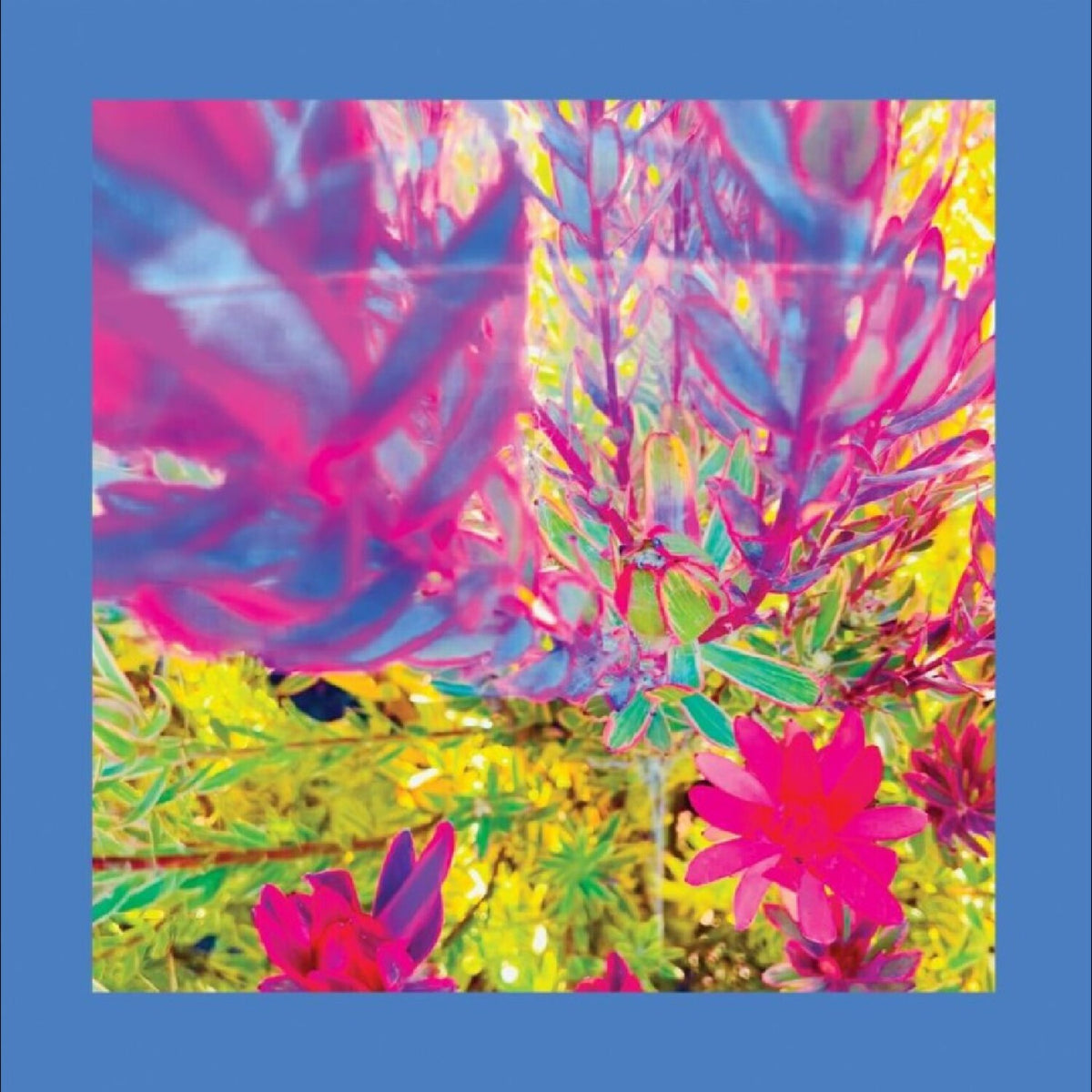 Past Is A Garden I Never Fed (Neon Pink LP Vinyl)