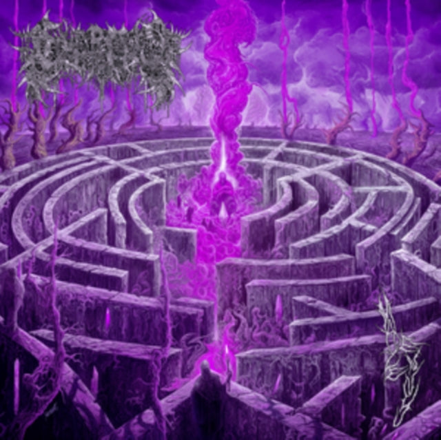 This LP Vinyl is brand new.Format: LP VinylMusic Style: Death MetalThis item's title is: Maze Envy (Purple/Magenta Merge LP Vinyl)Artist: CiverousLabel: 20 Buck SpinBarcode: 810079501618Release Date: 3/22/2024