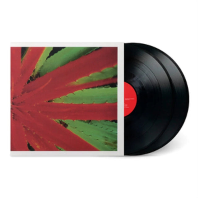 This Afternoons Malady (2LP)