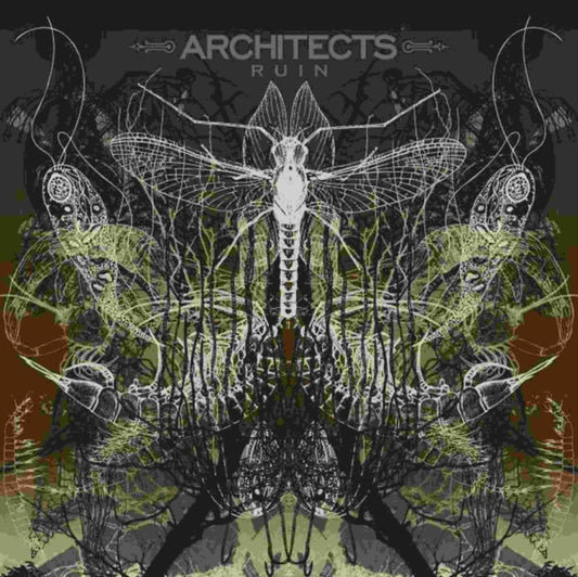 This LP Vinyl is brand new.Format: LP VinylMusic Style: Math RockThis item's title is: Ruin ReissueArtist: ArchitectsLabel: NAPALM RECORDSBarcode: 840588158805Release Date: 1/28/2022