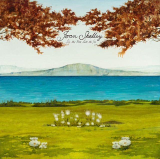 This LP Vinyl is brand new.Format: LP VinylMusic Style: New WaveThis item's title is: Like The River Loves The SeaArtist: Joan ShelleyLabel: NO QUARTERBarcode: 843563116654Release Date: 8/30/2019