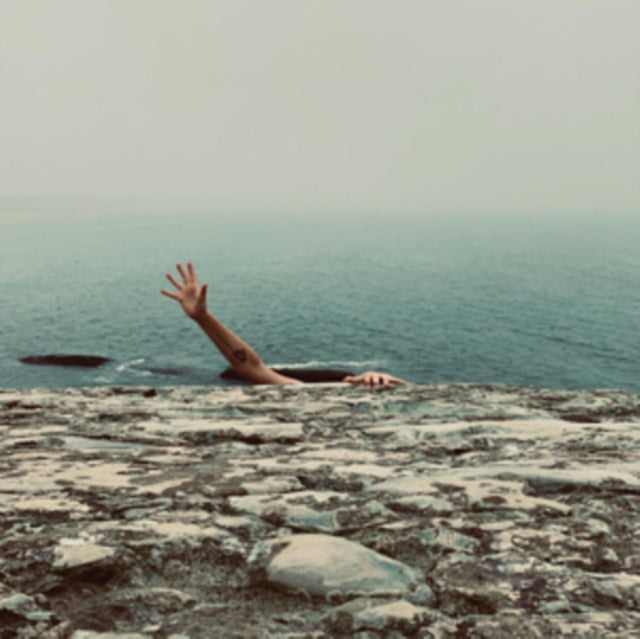 This LP Vinyl is brand new.Format: LP VinylMusic Style: Indie RockThis item's title is: A Face In Your LifeArtist: Pet FoxLabel: EXPLODING IN SOUND RECORDSBarcode: 843563149317Release Date: 9/30/2022