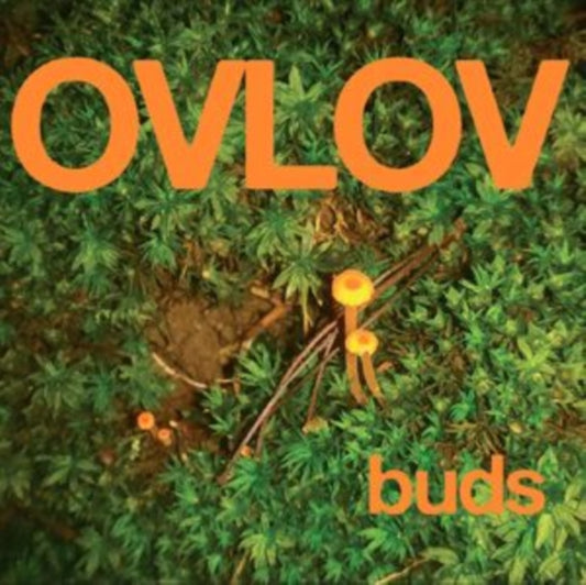 Product Image : This LP Vinyl is brand new.<br>Format: LP Vinyl<br>Music Style: Indie Rock<br>This item's title is: Buds (Green LP Vinyl)<br>Artist: Ovlov<br>Label: Exploding In Sound Records<br>Barcode: 843563169933<br>Release Date: 1/5/2024