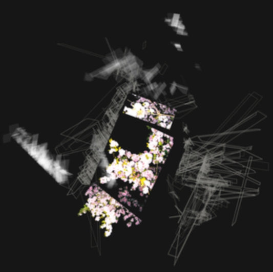 This LP Vinyl is brand new.Format: LP VinylMusic Style: Doom MetalThis item's title is: Capture & Release (Green LP Vinyl)Artist: KhanateLabel: Sacred Bones RecordsBarcode: 843563171196Release Date: 5/24/2024