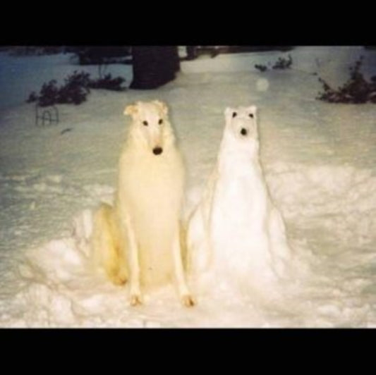 This LP Vinyl is brand new.Format: LP VinylMusic Style: Indie RockThis item's title is: Boyhood (Clear Yellow Splatter LP Vinyl)Artist: Birth DayLabel: Gizzmoix RecordsBarcode: 843563174418Release Date: 6/14/2024