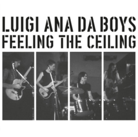 This LP Vinyl is brand new.Format: LP VinylMusic Style: Hard RockThis item's title is: Feeling The CeilingArtist: Luigi Ana Da BoysLabel: SommorBarcode: 4040824093082Release Date: 2/23/2024
