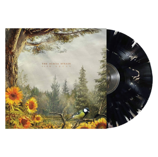 This LP Vinyl is brand new.Format: LP VinylMusic Style: DeathcoreThis item's title is: Slow Decay (Limited Edition/Black Cloudy LP Vinyl)Artist: Acacia StrainLabel: Rise Records (3)Barcode: 4050538912395
