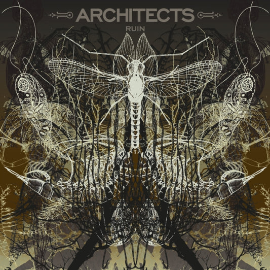 Ruin (Limited/Picture Disc)