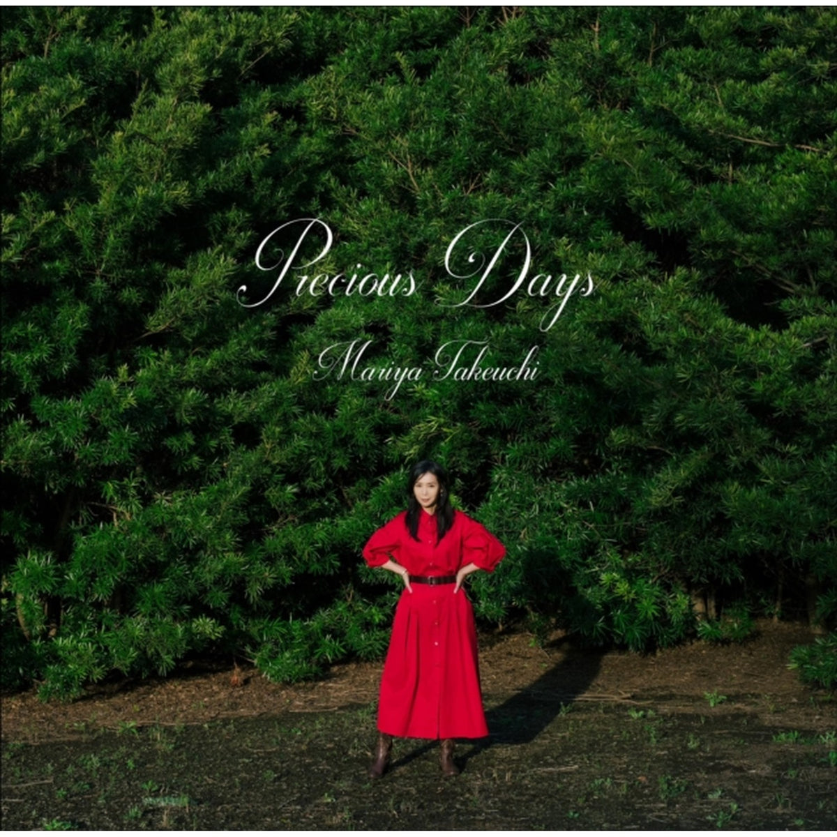 Precious Days (2LP/180G/Japanese Import/Limited)