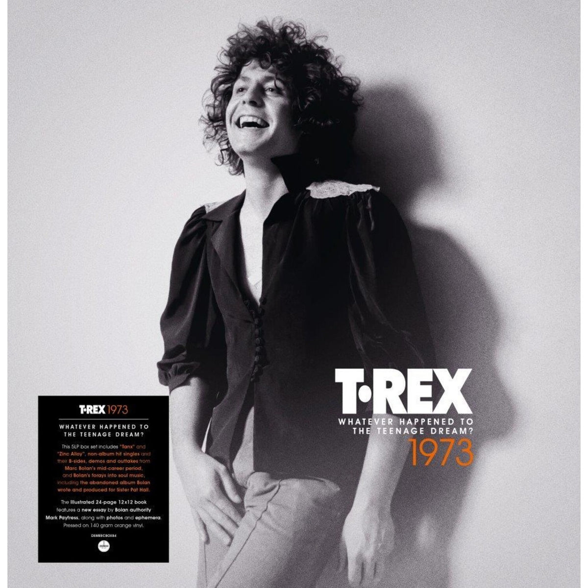 Whatever Happened To The Teenage Dream? (1973) (140G/Orange Vinyl/5LP)