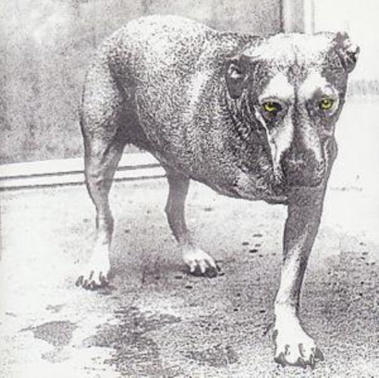 This CD is brand new.Format: CDMusic Style: GrungeThis item's title is: Alice In ChainsArtist: Alice In ChainsBarcode: 5099748111425Release Date: 1/1/2001