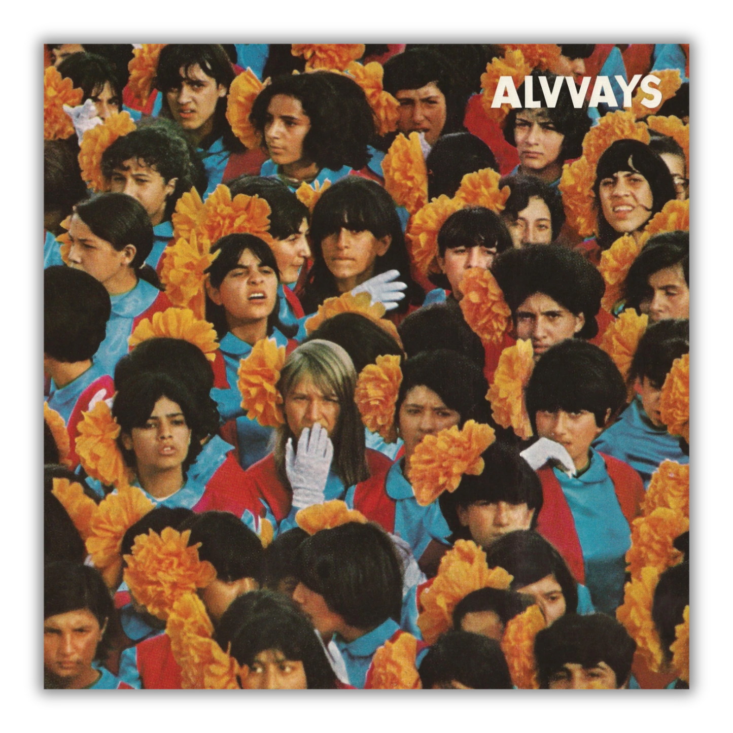 Alvvays