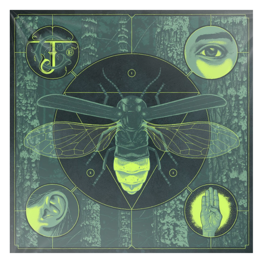 This LP Vinyl is brand new.Format: LP VinylMusic Style: Alternative RockThis item's title is: Brighten (180G/Electric Blue LP Vinyl/Glow-In-The-Dark Packaging)Artist: Jerry CantrellLabel: THINK INDIEBarcode: 889198321544Release Date: 11/11/2022