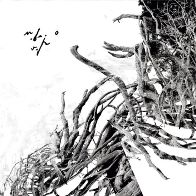 This LP Vinyl is brand new.Format: LP VinylMusic Style: Black MetalThis item's title is: Virstele PamintuluiArtist: Negura BungetLabel: CODE666Barcode: 8033622537267Release Date: 2/4/2022