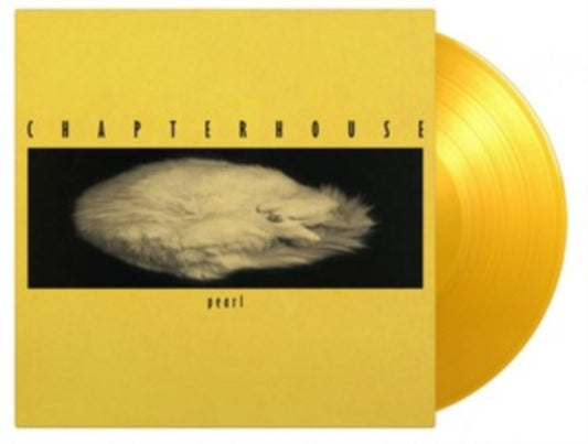 This 12 Inch Vinyl is brand new.Format: 12 Inch VinylMusic Style: ShoegazeThis item's title is: Pearl (Translucent Yellow  Vinyl/180G)Artist: ChapterhouseLabel: MUSIC ON VINYLBarcode: 8719262020016Release Date: 8/5/2022